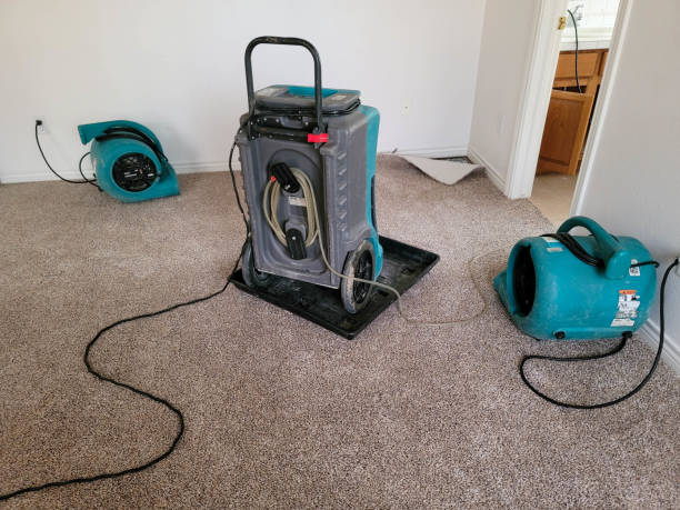 Best 24/7 water damage repair  in Duncan, OK