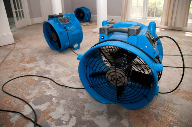 Best Mold removal after water damage  in Duncan, OK
