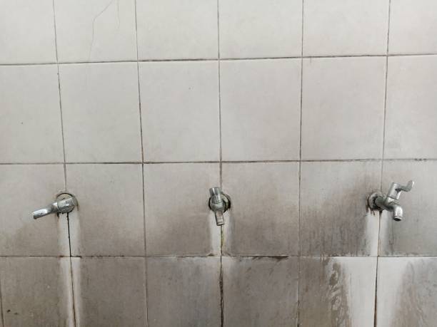 Best Professional water damage repair  in Duncan, OK