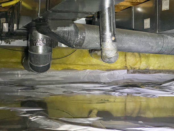 Best Water damage restoration mold remediation  in Duncan, OK